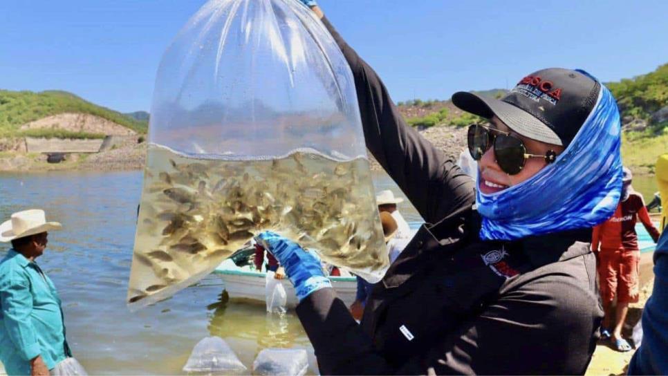 250 pescadores de Choix se han visto afectados por la sequía en la presa Huites