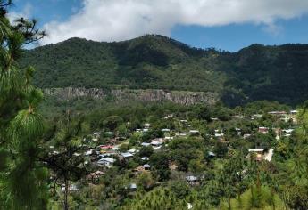 Reportan enfrentamiento en El Palmito, en la sierra de Concordia