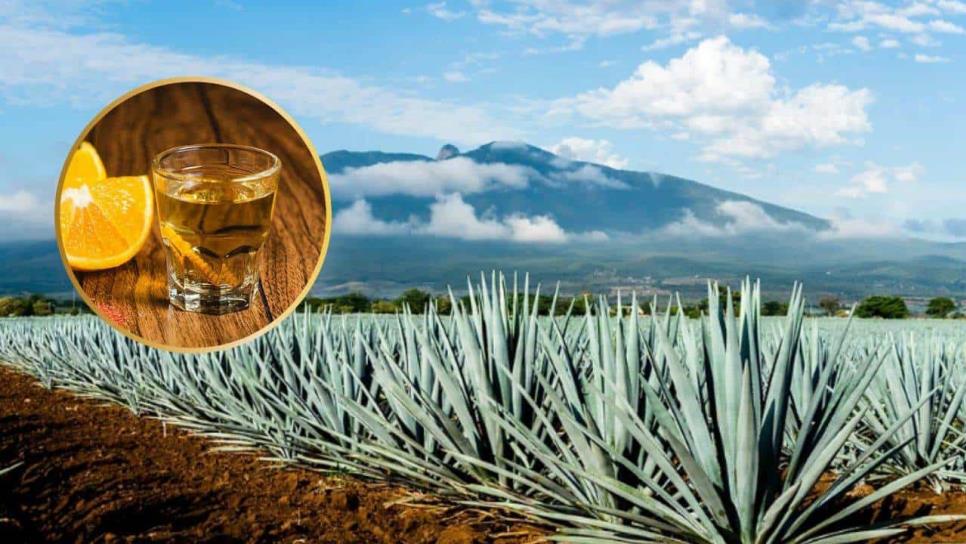 Ruta del mezcal: ¿Ya la conoces?, ¿Dónde queda?