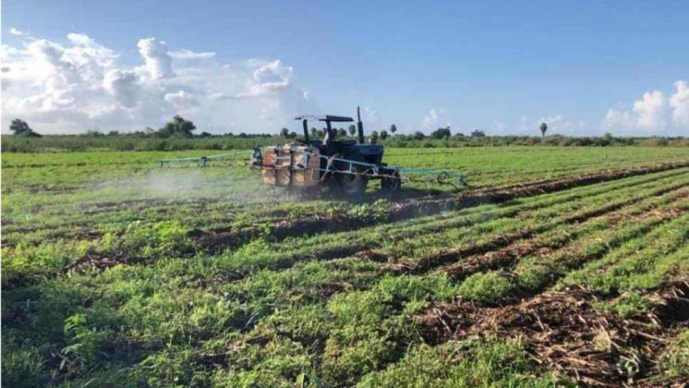 Sí pagarán el Procampo a pequeños productores en Sinaloa