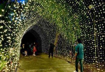 Navidad en el Jardín Botánico de Culiacán; estos son los horarios para disfrutar del show de luces