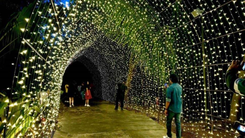 Navidad en el Jardín Botánico de Culiacán; estos son los horarios para disfrutar del show de luces