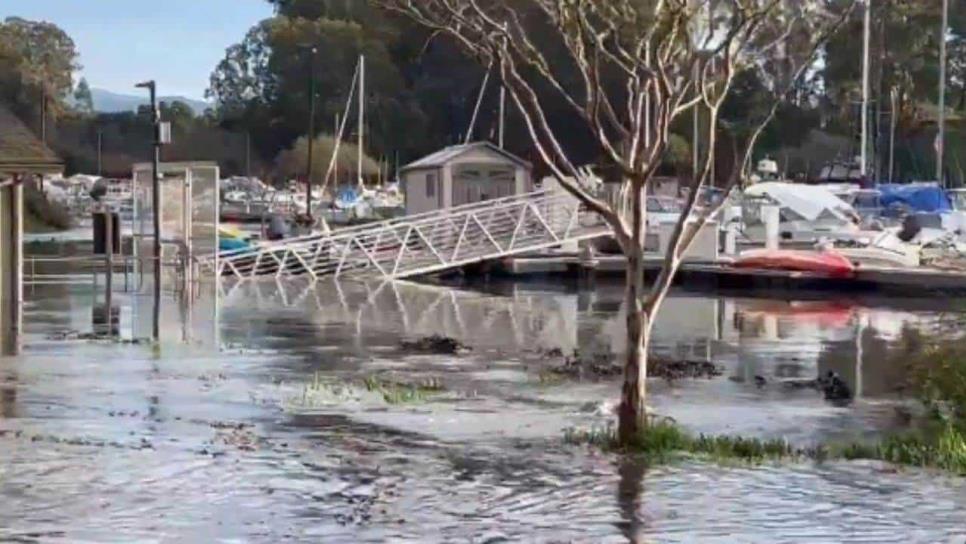 Santa Cruz, California sufre mini tsunami tras sismo de siete grados Escala de Richter