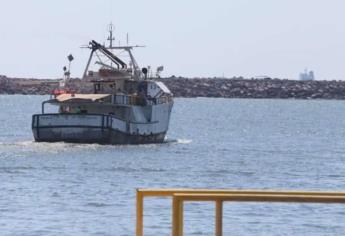 Bajas capturas de camarón afectan gravemente al sector pesquero en Mazatlán