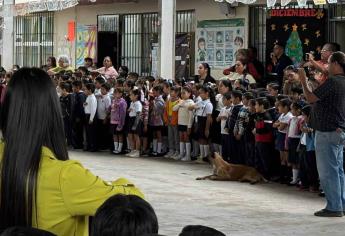 ¿Hay clases este Día de la Virgen de Guadalupe en Sinaloa?