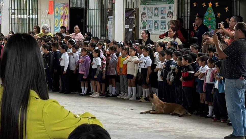 ¿Hay clases este Día de la Virgen de Guadalupe en Sinaloa?