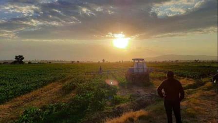 Atención agricultores, en Sinaloense se pronostica inviernos más intensos