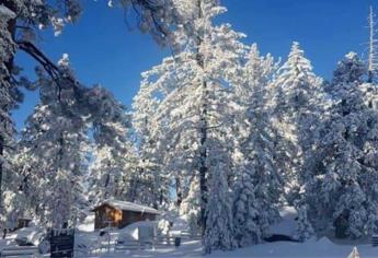 Sierra de San Pedro Mártir, “la Suiza” mexicana que se llena de nieve en Baja California