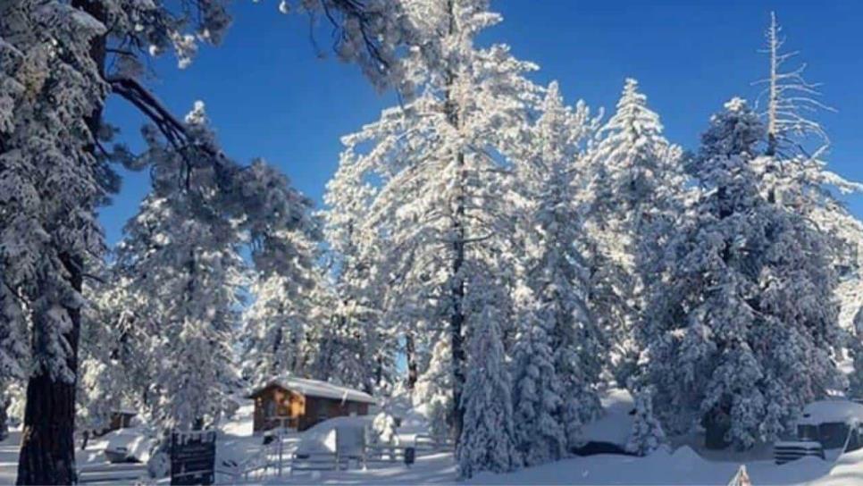 Sierra de San Pedro Mártir, “la Suiza” mexicana que se llena de nieve en Baja California