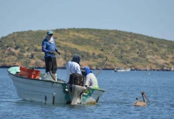 Cooperativas camaroneras del norte de Sinaloa se registran para apoyos de pesca