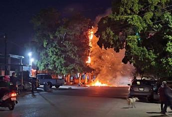 Menores incendian palma cuando jugaba con cebollitas en Los Mochis