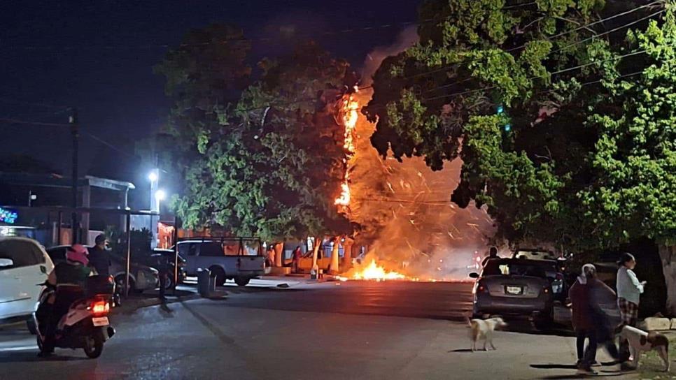 Menores incendian palma cuando jugaba con cebollitas en Los Mochis