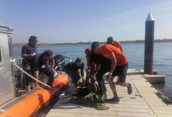 Secretaría de Marina rescata un venado en canal de navegación de Mazatlán