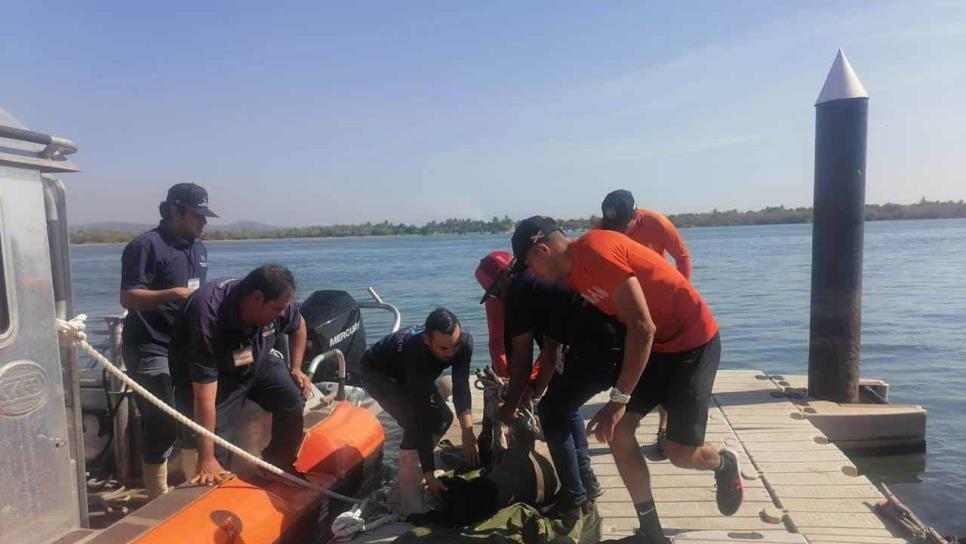 Secretaría de Marina rescata un venado en canal de navegación de Mazatlán