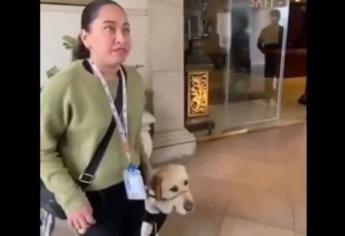 Mujer con discapacidad sufre discriminación al no permitirle el paso a un hotel con su perro guía, venía a una posada | VIDEO