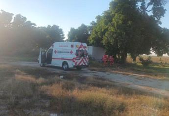 Localizan a un hombre sin vida debajo de un árbol en Batamote, Guasave