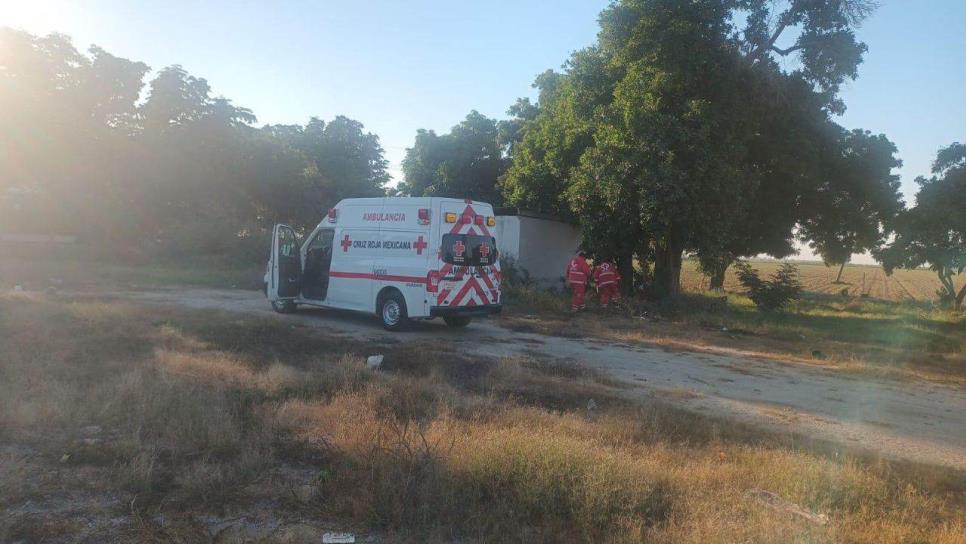 Localizan a un hombre sin vida debajo de un árbol en Batamote, Guasave