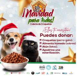 ¡Navidad para todos! Súmate a la colecta, porque los lomitos y michis también merecen su regalo este diciembre