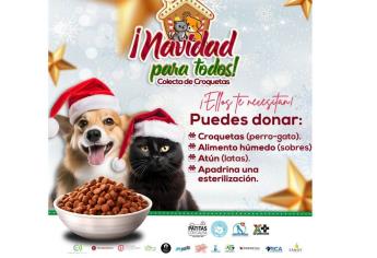 ¡Navidad para todos! Súmate a la colecta, porque los lomitos y michis también merecen su regalo este diciembre