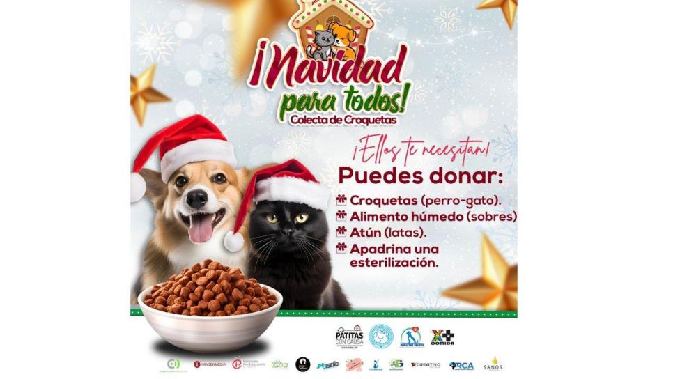 ¡Navidad para todos! Súmate a la colecta, porque los lomitos y michis también merecen su regalo este diciembre