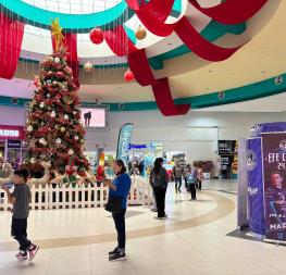 ¿Vas de compras navideñas? Esto debes saber para evitar asaltos