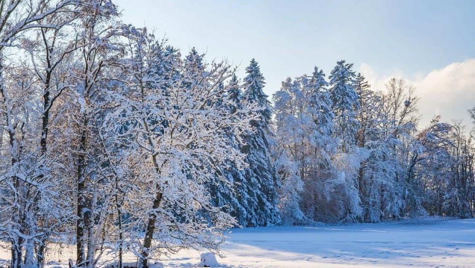 Llega el invierno 2024; ¿Nevará en Sinaloa? Aquí el pronóstico de una gélida temporada