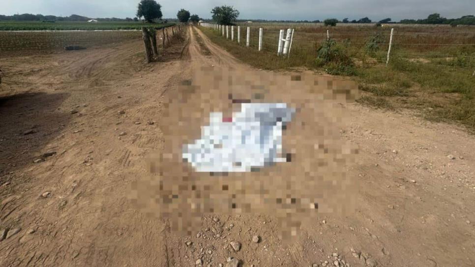 Localizan a exregidor de Escuinapa asesinado a balazos en la carretera a Teacapán 