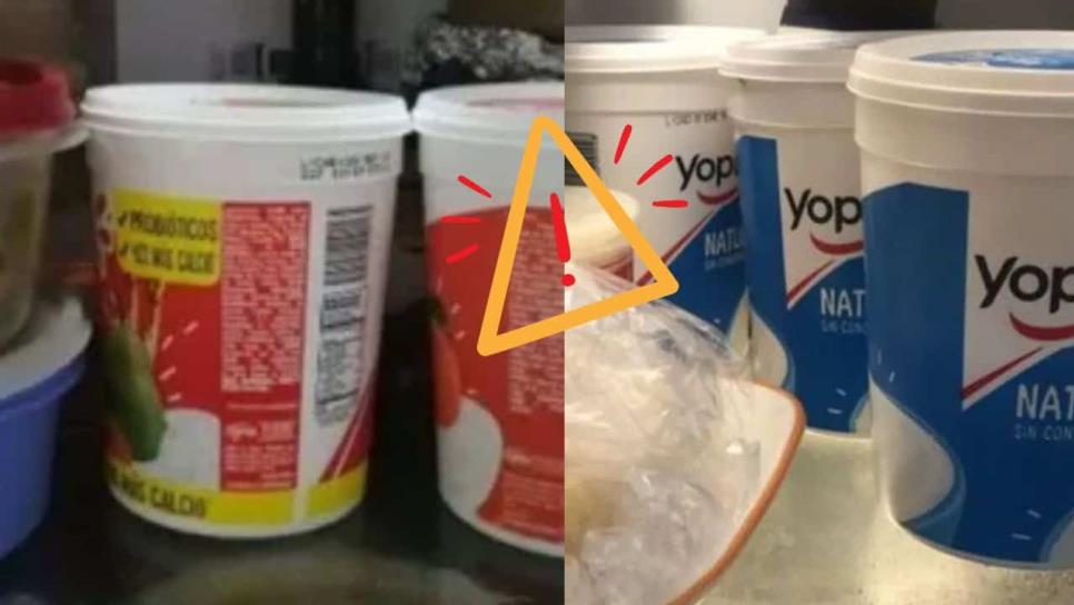 ¿Guardas comida en envases de yogurt?, Profeco advierte posible cáncer