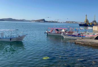 Pescadores de Topolobampo a la deriva por bajas capturas y altos costos