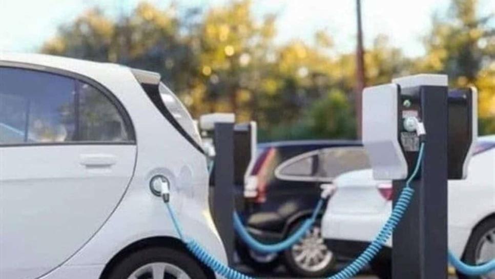 Olinia, el auto eléctrico mexicano; así serán sus 3 modelos