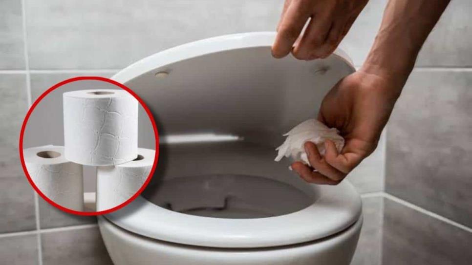 Estas son los 3 marcas de papel higiénico que no tapan tu inodoro y es de los mejores, según Profeco