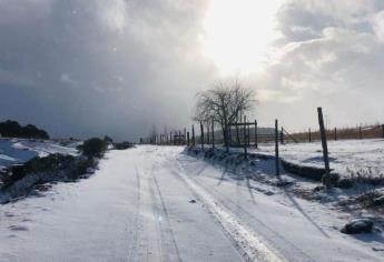 ¡Llegó la nieve! Pronostican frío de hasta -15°C en Sonora, Chihuahua y Durango