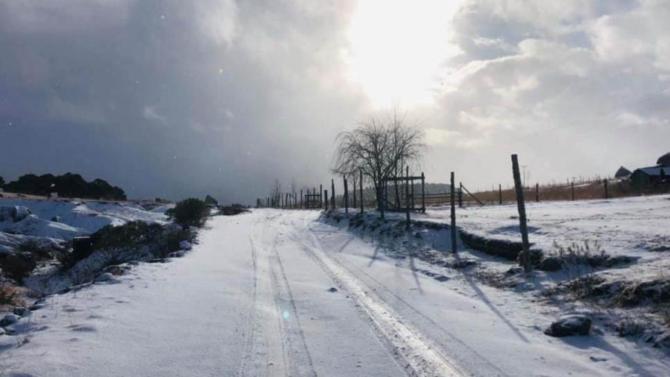 ¡Llegó la nieve! Pronostican frío de hasta -15°C en Sonora, Chihuahua y Durango