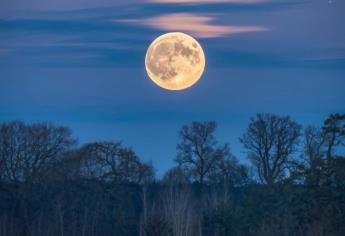 Luna del Lobo 2025: ¿cuándo es la primera luna llena del año y por qué se llama así?