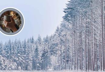 En estos municipios podrían caer nieve en estos días, según pronósticos de Conagua