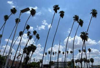 Clima en Los Mochis este jueves, 09 de enero: cielos despejados y posibles chubascos