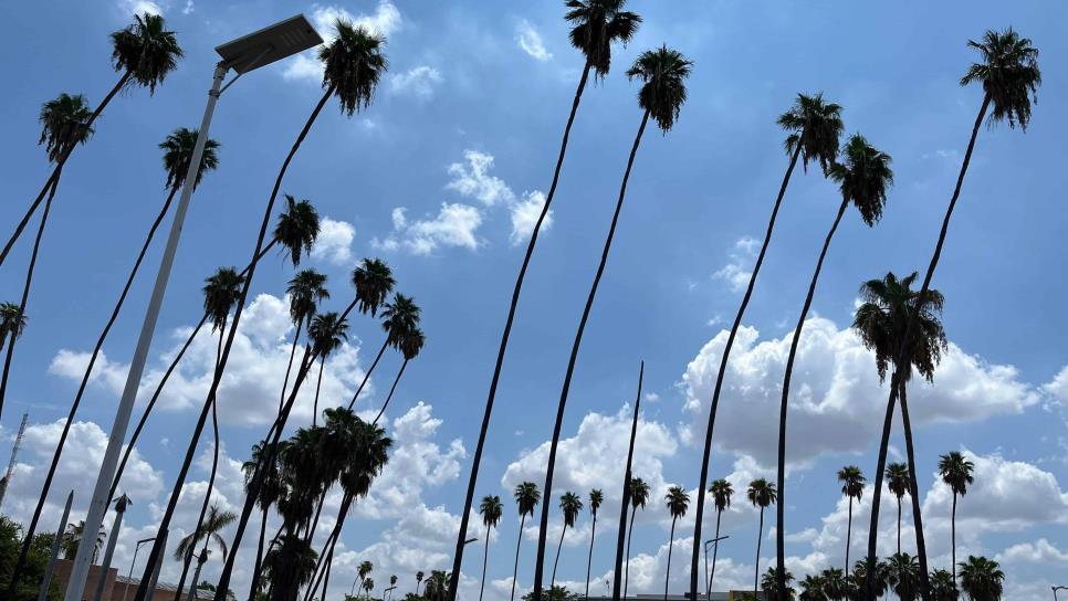 Clima en Los Mochis este jueves, 09 de enero: cielos despejados y posibles chubascos