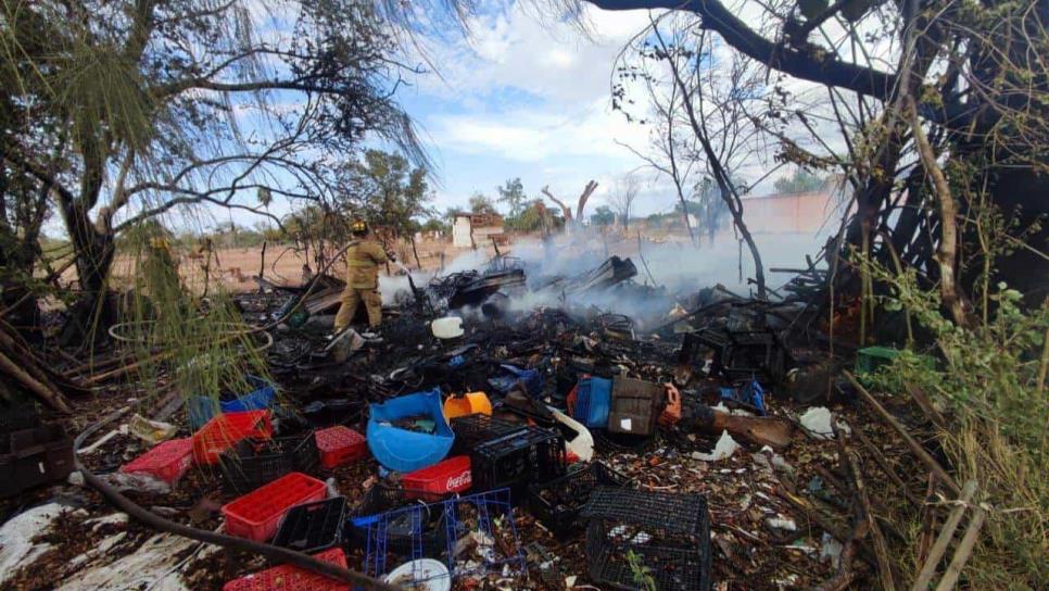 Incendio deja a un adulto mayor sin hogar en Los Mochis