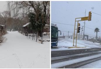 Así recibió Sonora su primera nevada del 2025 | FOTOS y VIDEO