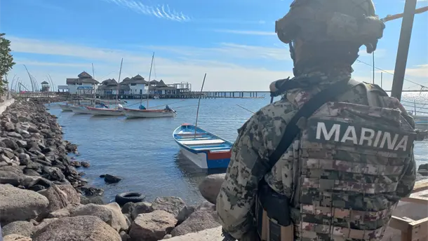 Nota Relacionada de Seguridad