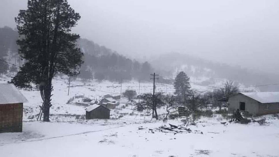 Así cayó nieve en Durango, zonas serranas se pintaron de blanco | VIDEO  