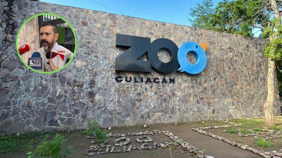 Al termino de la entrega-recepción conoceremos los animales que hay en el Zoológico de Culiacán: Director