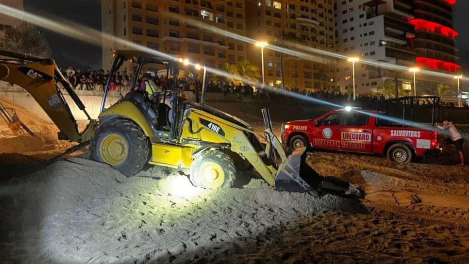 Sepultan cuerpo de la ballena que encalló en playas de Mazatlán