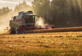 Productores piden sacar de la Bolsa de Chicago el precio de los granos