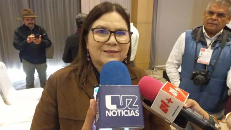 Que se finquen responsabilidades por deuda al SAT, primero está el pueblo y después los funcionarios: Imelda Castro