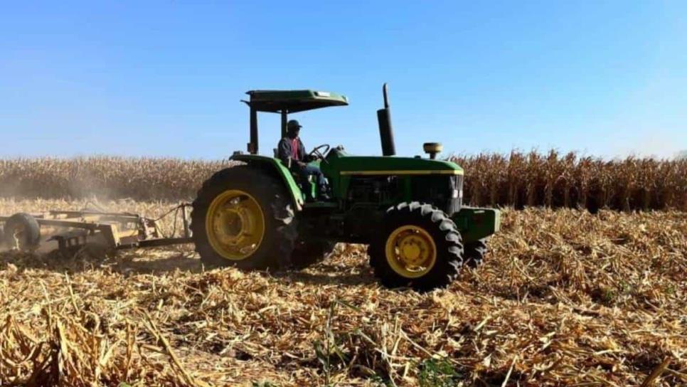 Productores de Sinaloa buscan apoyo del secretario de Agricultura para salvar el campo mexicano