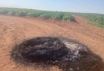 Ahome levanta actas contra productores de El Carrizo por quema de llantas 