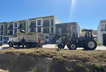 Mazatlán se prepara para el carnaval con limpieza integral en avenidas y canales