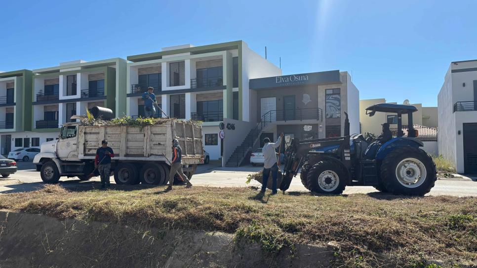 Mazatlán se prepara para el carnaval con limpieza integral en avenidas y canales