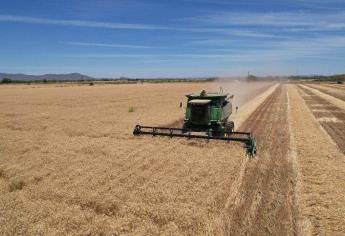 El productor no puede estar produciendo alimentos con pérdidas: CAADES